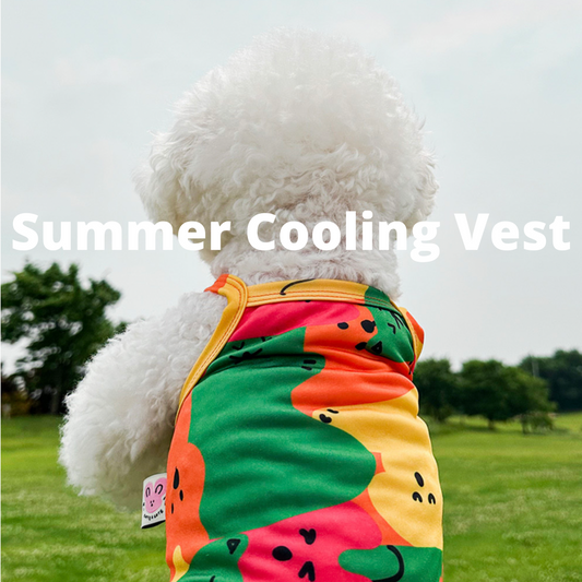 [ 韓國直送 🇰🇷 ] Summer Cooling Vest | 韓國製 夏日涼感小背心