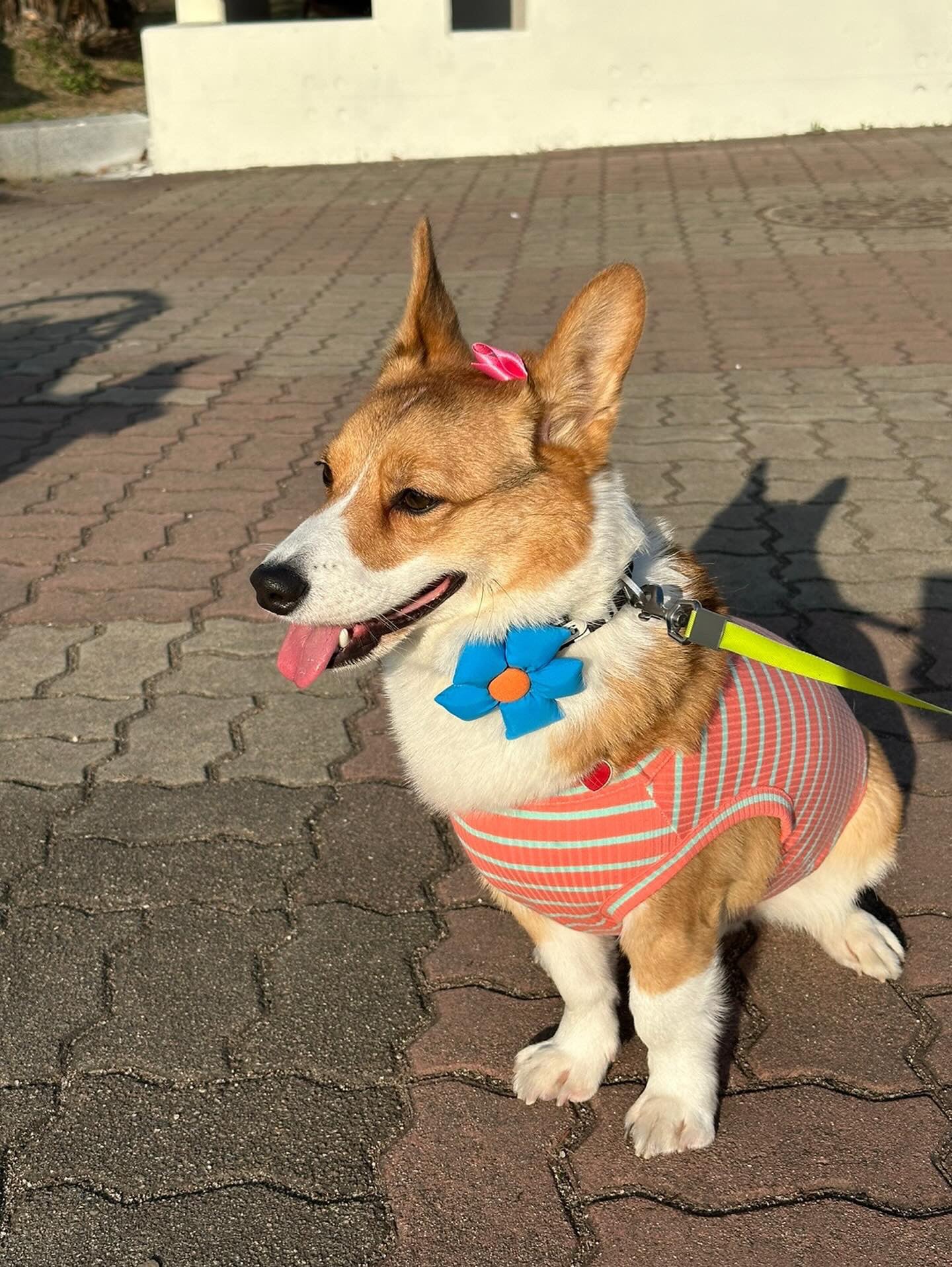 [ 預購韓國直送 🇰🇷 ] 韓國姐姐手工制 花花頸帶裝飾