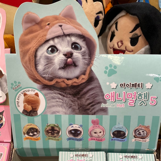 [ 韓國直送 🇰🇷 ] 小動物風貓咪頭套盲盒