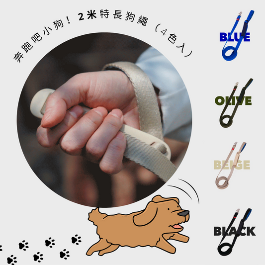 [ 韓國直送 🇰🇷 ] 奔跑吧小狗! 2 米特長狗繩 (4色入)🐕💨