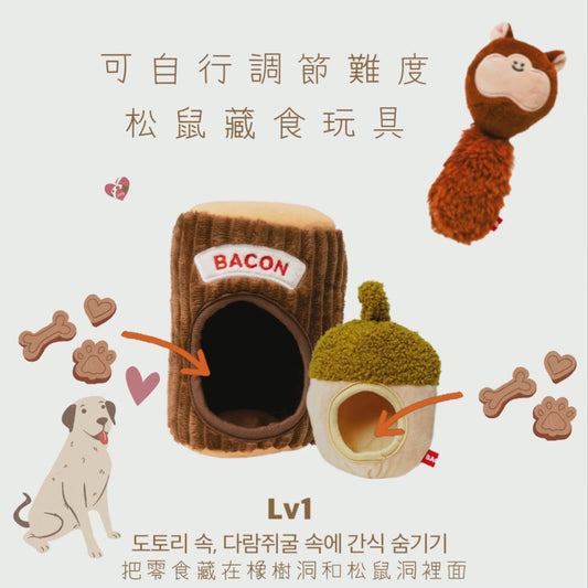 [韓國直送🇰🇷] 匿埋咗嘅小松鼠🐿️ 藏食玩具4️⃣件套（難度大升級❗️）