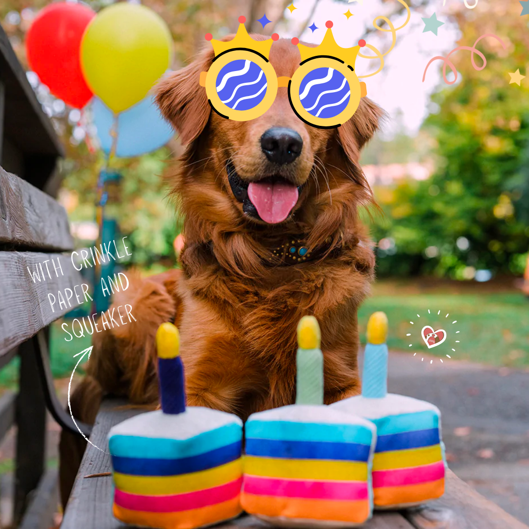 🥳 Birthday Pawty🐾