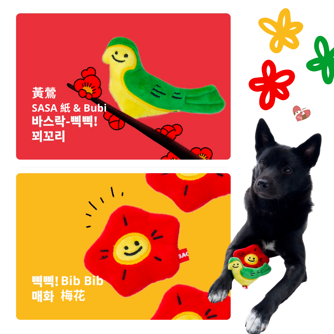 [ 韓國直送 🇰🇷 ] 鳥語花香 Bubi 玩具 2 件套🦜🌺