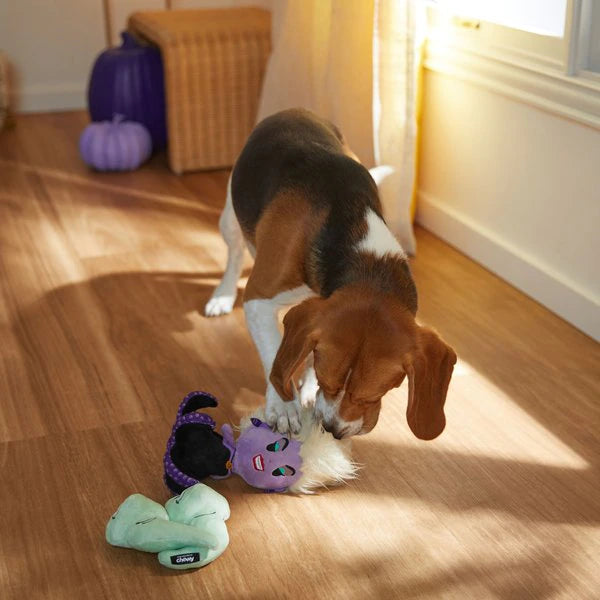 [ 美國直送 🇺🇸 ] 迪士尼正版 烏蘇拉與鰻魚玩具 2 件套 （有🐱版同🐶版）