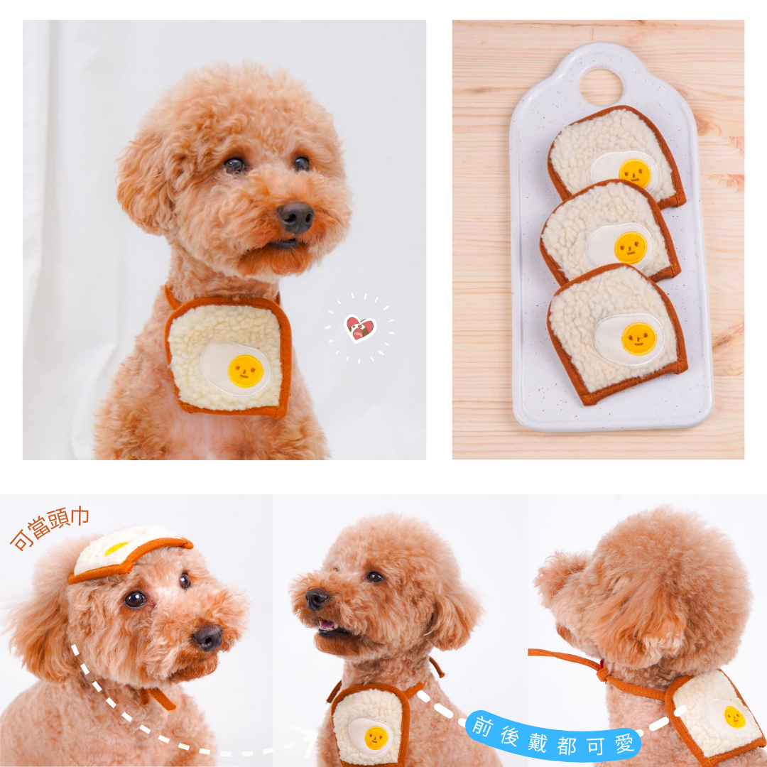 [韓國直送🇰🇷] Eggie Toast Scarf🍳🍞