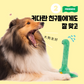 [ 韓國直送 🇰🇷 ] Joguman Studio Brachio Friends 恐龍玩具🦕