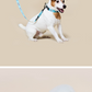 [ 韓國直送 🇰🇷 ] Float X Zero Per Zero Standard 2M Leash - SkyBlue