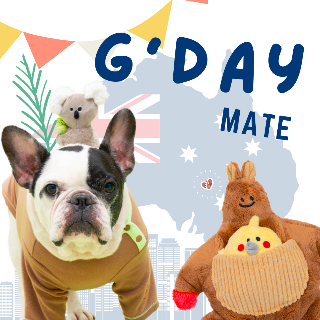 [ 韓國直送 🇰🇷 ] 抱緊大腿小樹熊扯扯玩具 🐨