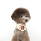 Line Friends 正版巾巾 (Brown, Choco, Cony)